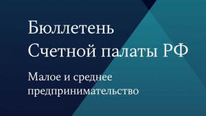 Бюллетень Счетной палаты РФ. Малое и среднее предпринимательство